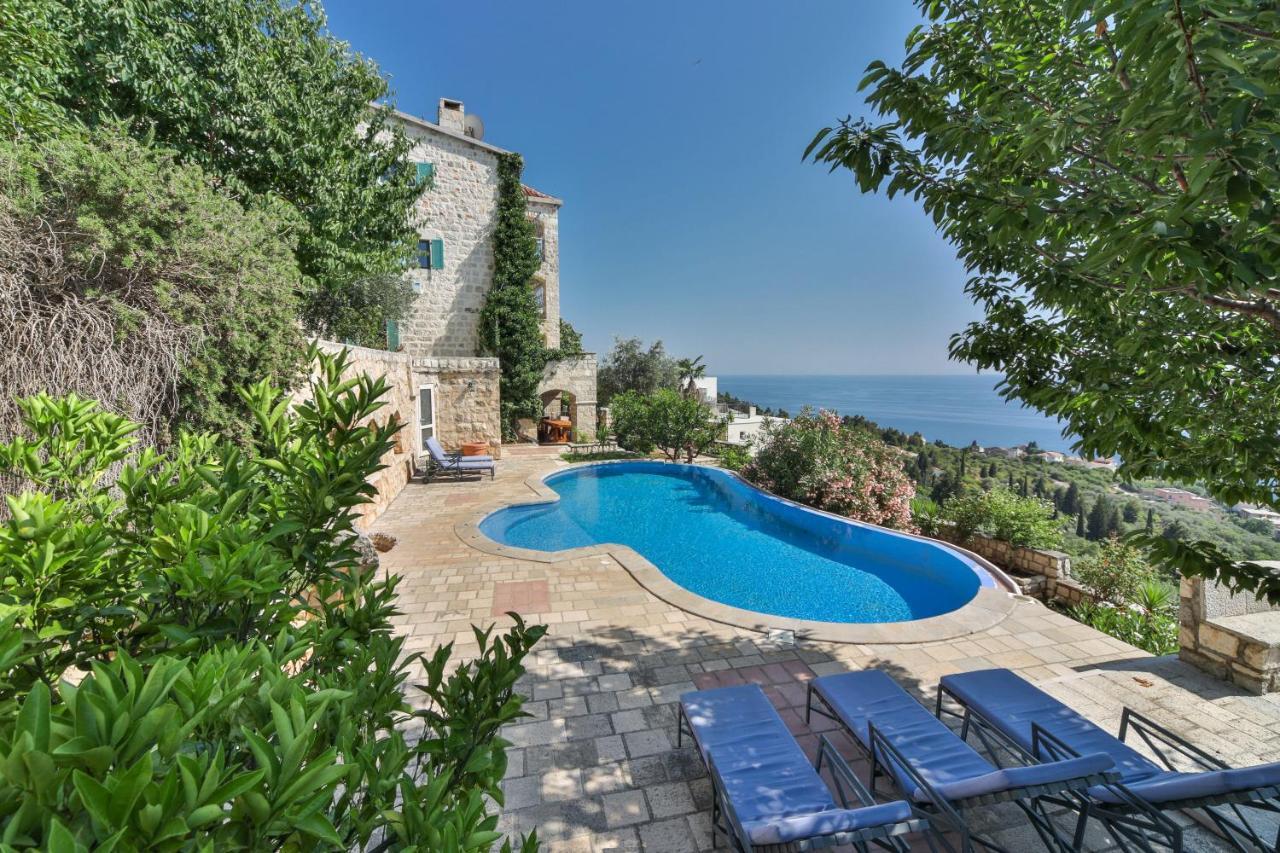 Olive 4*